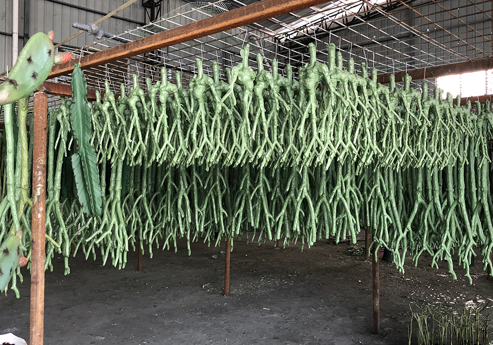 Artificial plant production workshop