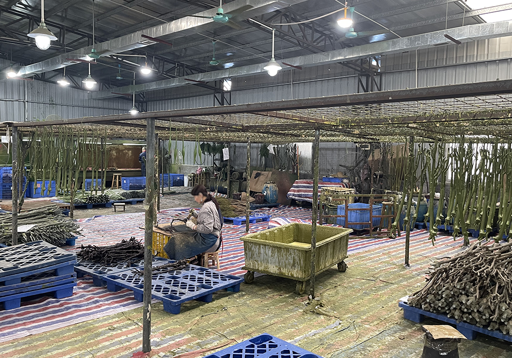 Artificial plant production workshop