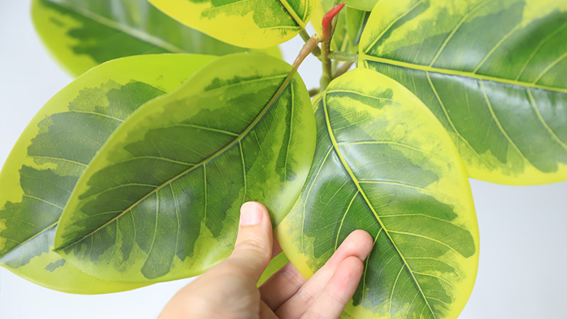 Close-up of artificial green leaves with realistic texture, ideal for decoration and crafts.