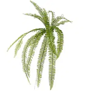 Lush artificial hanging fern with long, cascading green fronds.