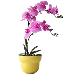 Vibrant pink artificial orchid plant in a yellow ceramic pot.