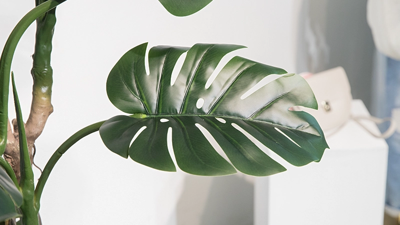 Artificial monstera leaf Close-up of an artificial monstera leaf with realistic texture and vibrant green color.