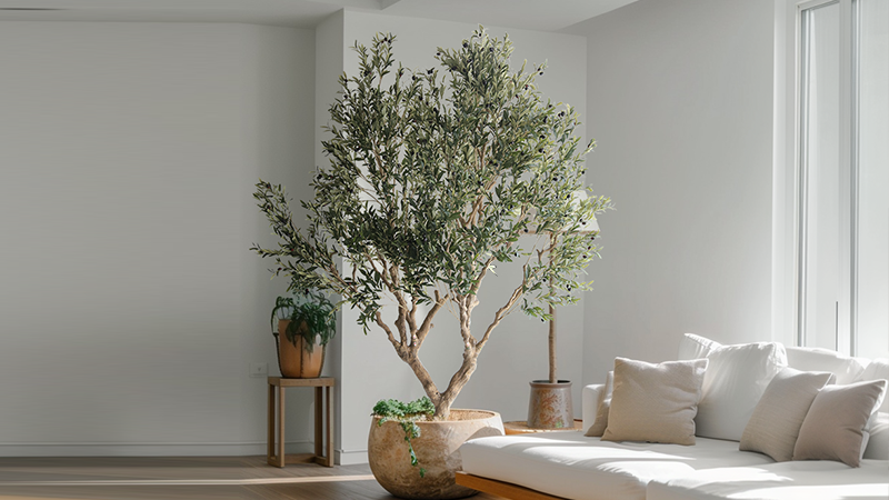 Artificial olive tree in modern living room, high-quality artificial plant decor, stylish and lifelike.