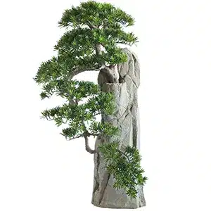 Artistic bonsai tree growing on a textured rock sculpture.