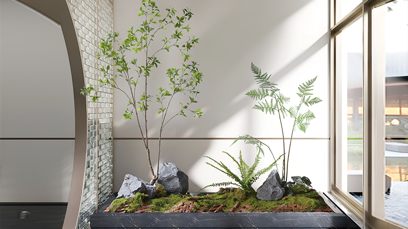 Minimalist plant decor Green potted plants with rocks and moss, minimalist interior design, natural decor