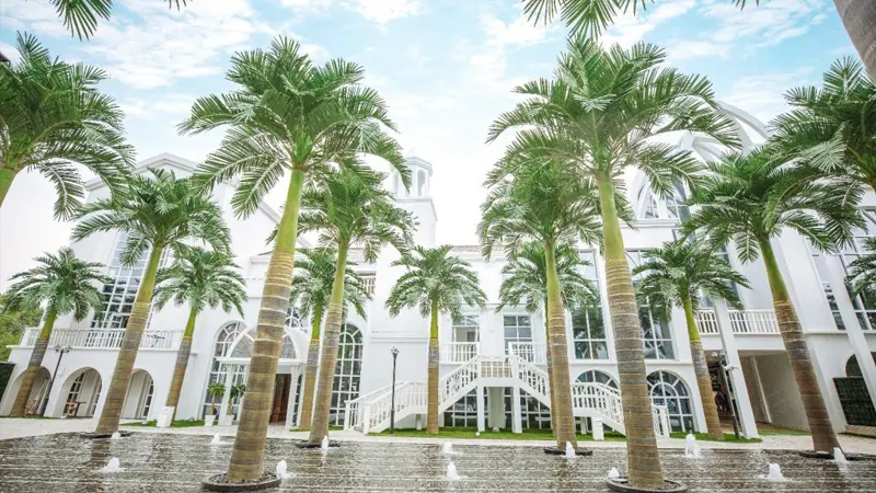 Palm trees display Artificial palm trees in courtyard, elegant white building backdrop