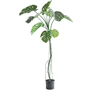 Tall artificial monstera plant with large split leaves in a black pot.