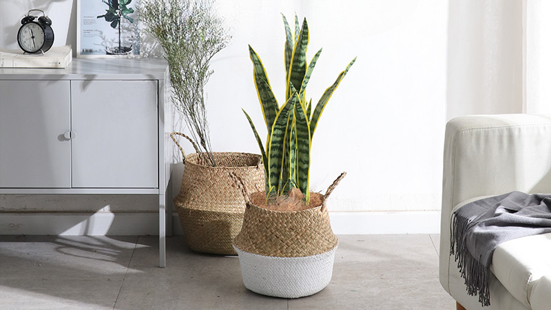 Artificial snake plant decor Artificial snake plant in woven basket planter, perfect for minimalist home decor