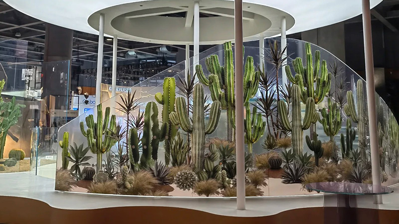 Cactus display Indoor desert garden, artificial plants, glass enclosure