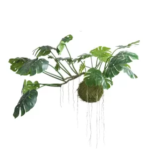 Artificial hanging monstera plant with moss ball for tropical decor