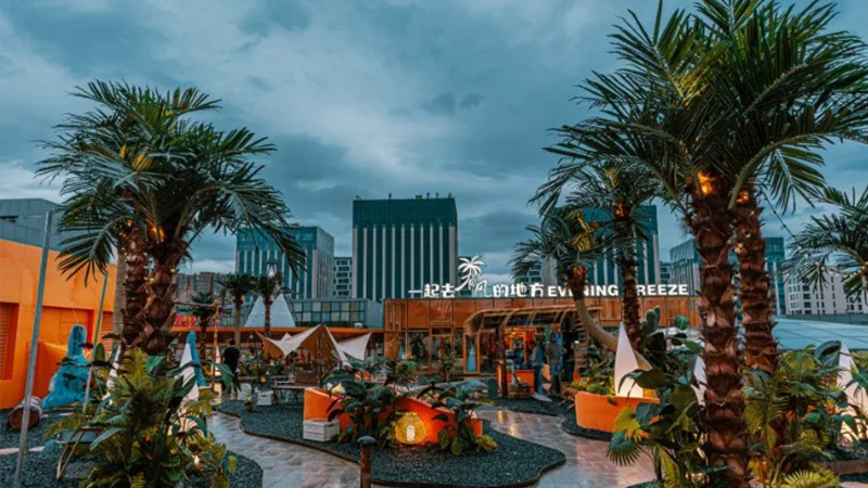 Urban oasis with palm trees and colorful decor on a rooftop
