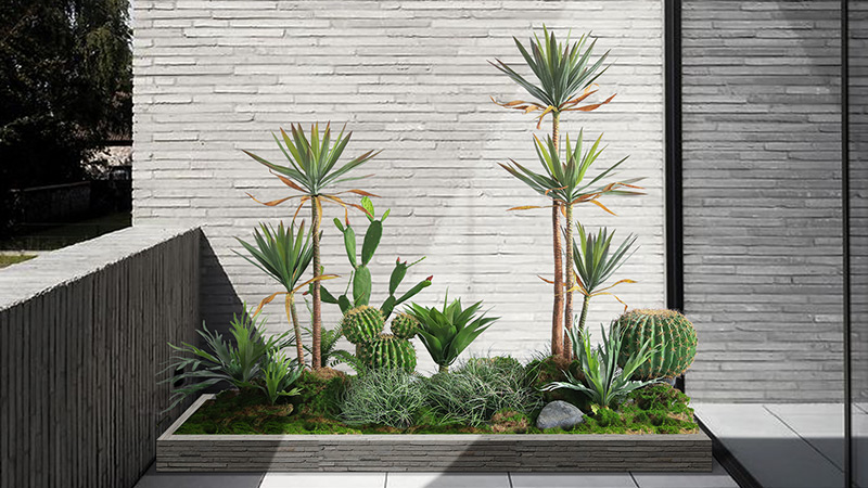 Xeriscaping ideas Cactus and succulent garden in a modern planter
