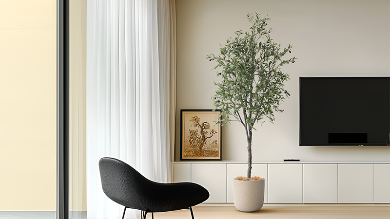 Olive Tree Home Decor Olive tree in a modern living room