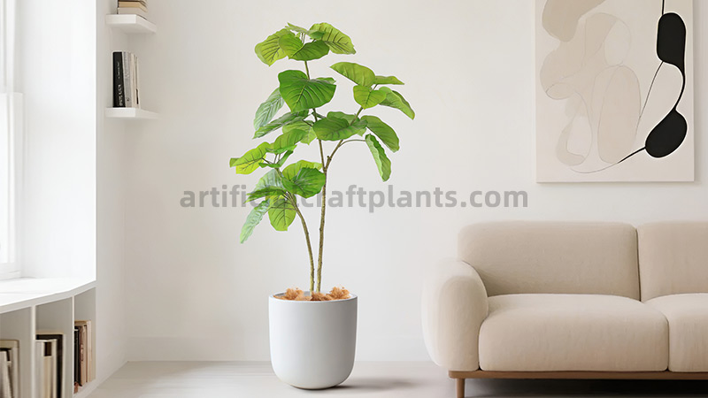 Artificial Fiddle-leaf fig tree in white pot near a sofa