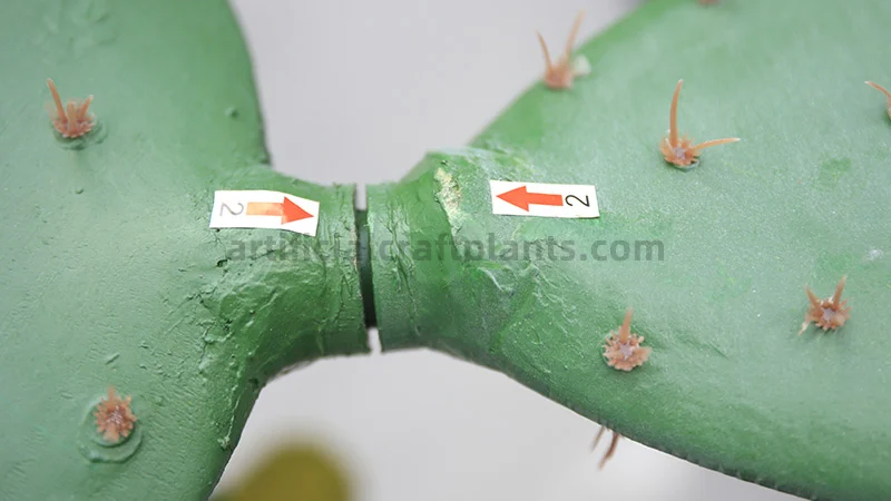 Connecting cactus segments Close-up of artificial cactus segments being connected