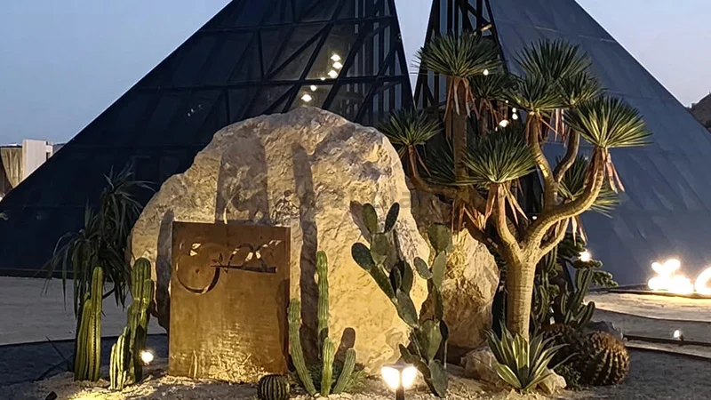 Desert lounge at night Desert-themed outdoor lounge with cacti and pyramid structures