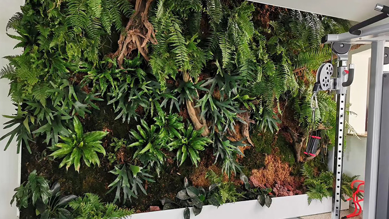 A tall, decorative Dracaena plant in a white fluted pot, enhancing a living room with retro furniture and art.