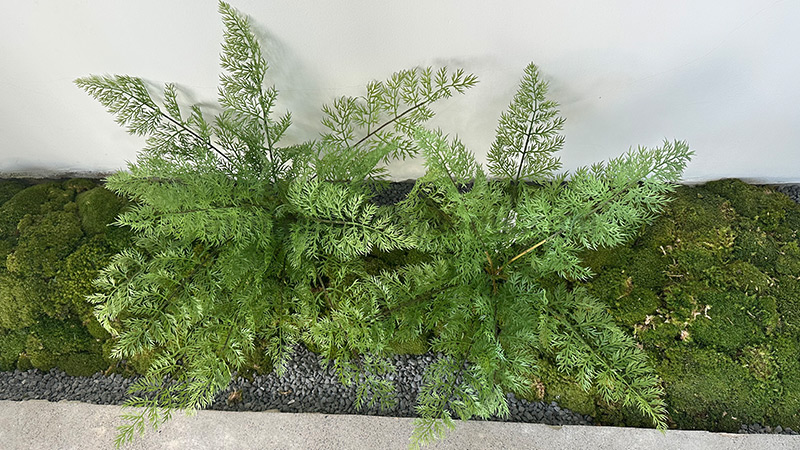 Artificial Asparagus Fern green artificial asparagus fern planted in a bed of moss and gravel