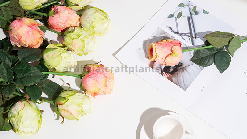 Artificial Roses Pink and cream artificial roses displayed with a magazine on a white table.
