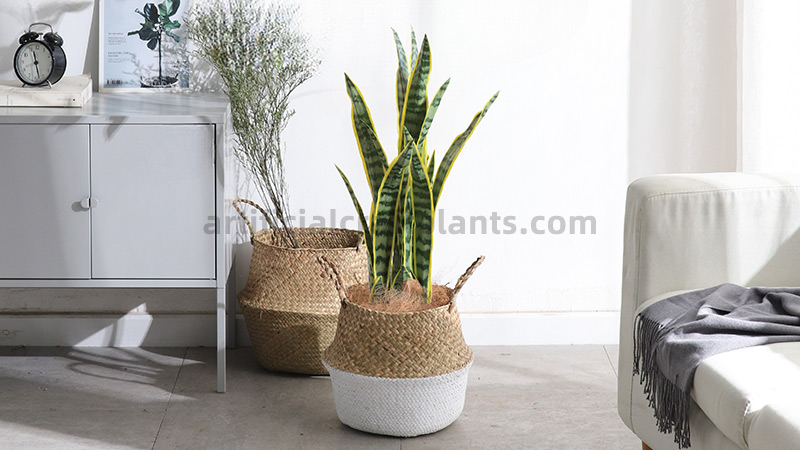 Artificial Snake Plant An artificial snake plant in a two-tone woven basket, next to another decorative basket.