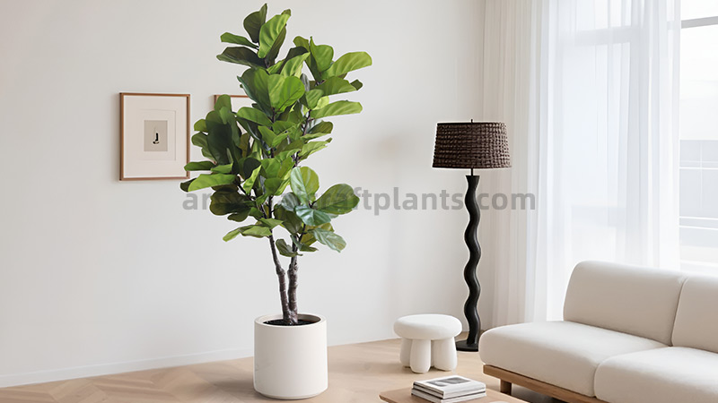 Fiddle-Leaf Fig Decor Lush artificial Fiddle-Leaf Fig tree in modern room