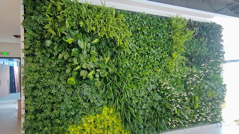Modern Moss Wall Modern interior with a moss wall and ferns
