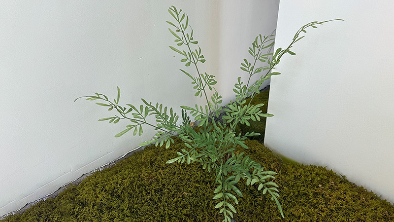Artificial Fern & Moss Artificial fern plant with green moss in a corner