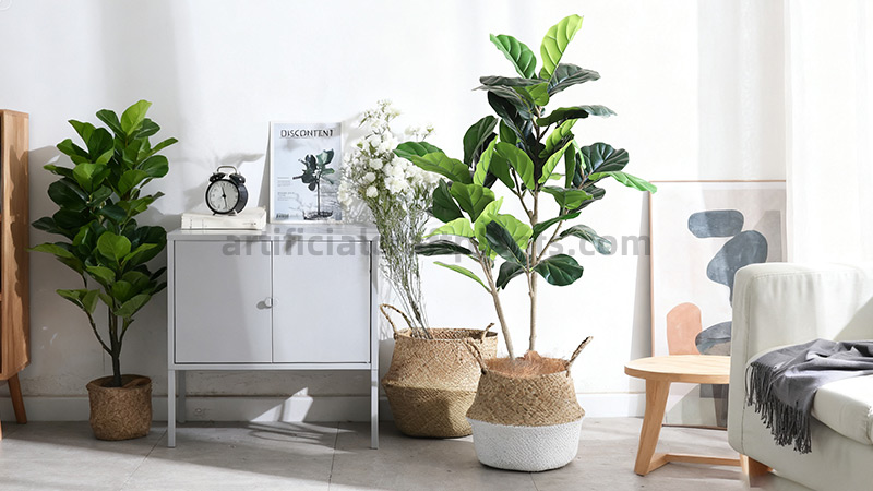 Artificial Fiddle Leaf Tree Two artificial fiddle leaf fig trees in woven baskets as home decor.
