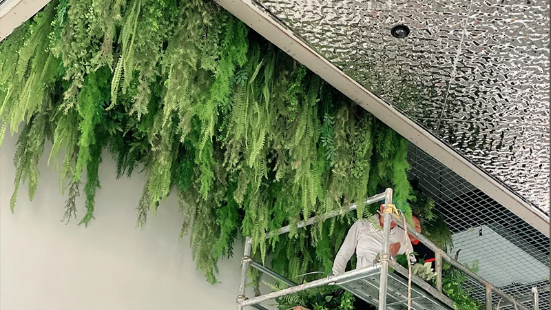 Workers installing an artificial green wall ceiling with various ferns and foliage.
