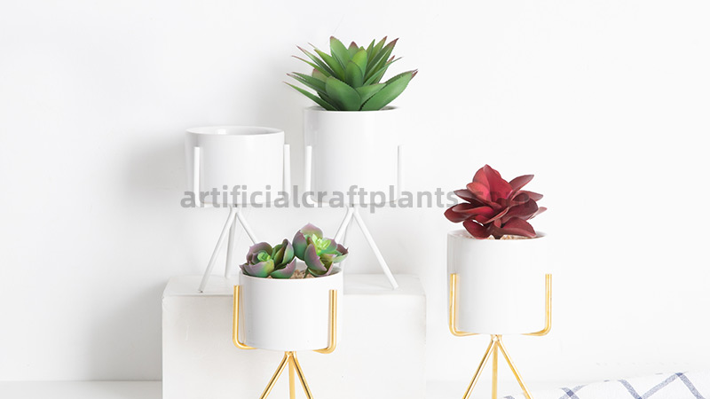 Artificial Succulent Pots four artificial succulent plants in modern white and gold pots