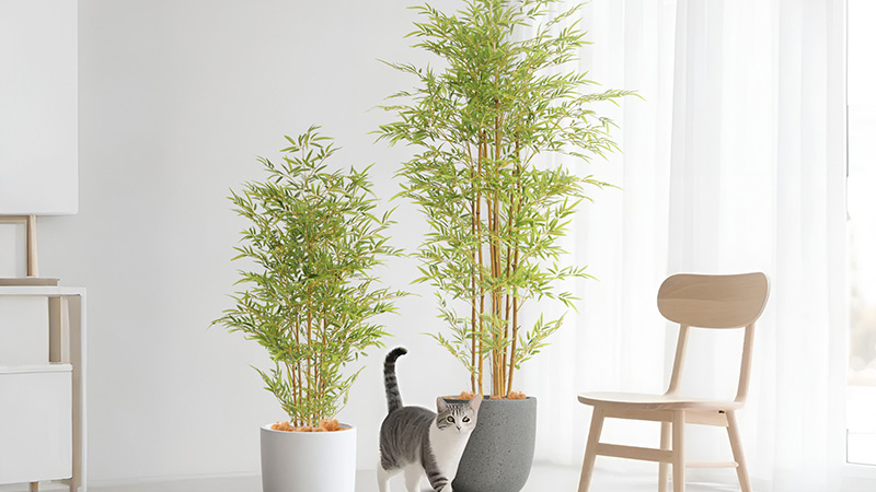 Faux Bamboo & Cat Two artificial bamboo plants with a cat in a bright room