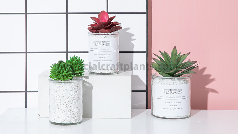 Faux Succulent Decor Artificial succulent plants in glass jars