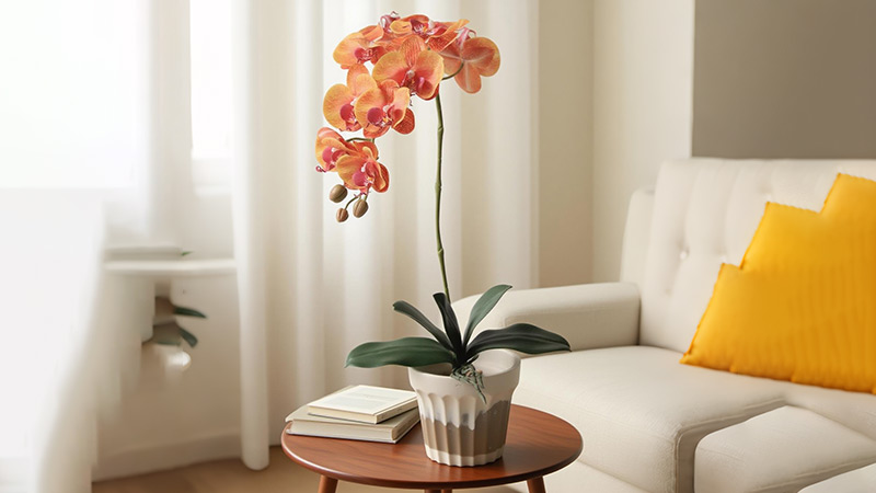Orange artificial orchid Orange artificial orchid on a side table in a living room setting