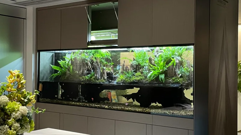 Vivarium with lush plants Large, illuminated vivarium with lush plants and natural wood integrated into cabinet