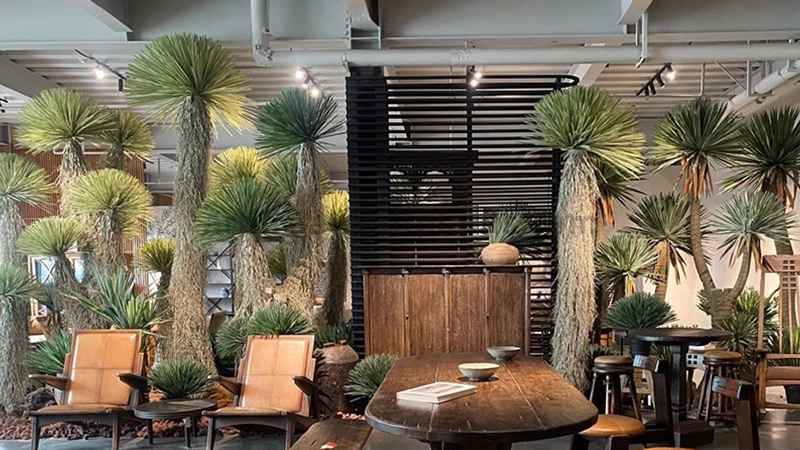 Commercial Faux Trees Interior design featuring large faux Yucca trees and wooden furniture